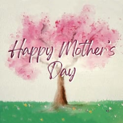 1. The Power Of A Mom